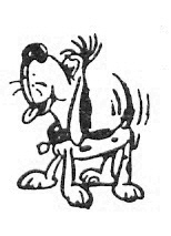 GearedForDogs's profile picture. Professional Dog Groomer