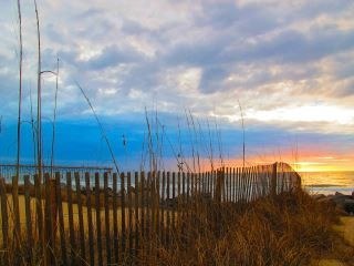 RoanokeRambler's profile picture. Reader, Writer, Poet