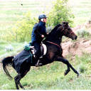 Trisha Dowling - @TrishaDowling1 - Twitter