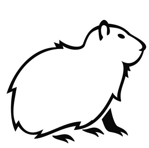 TheMoosa's profile picture. 