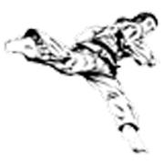 The number 1 Taekwondo community on the internet!