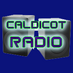 Caldicot Radio (@CaldicotRadio) Twitter profile photo