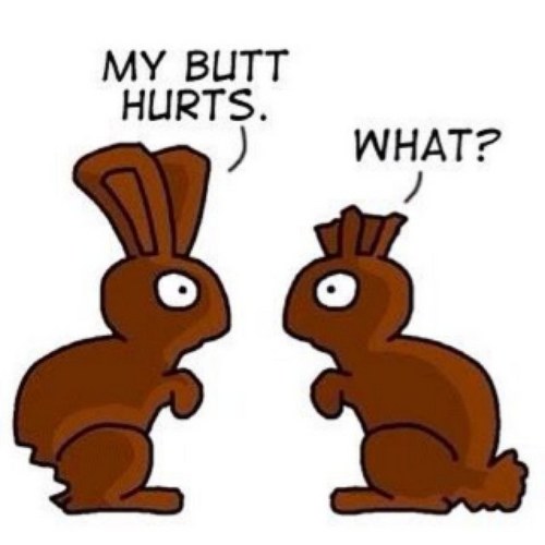 Wayne R. Mackins Profile