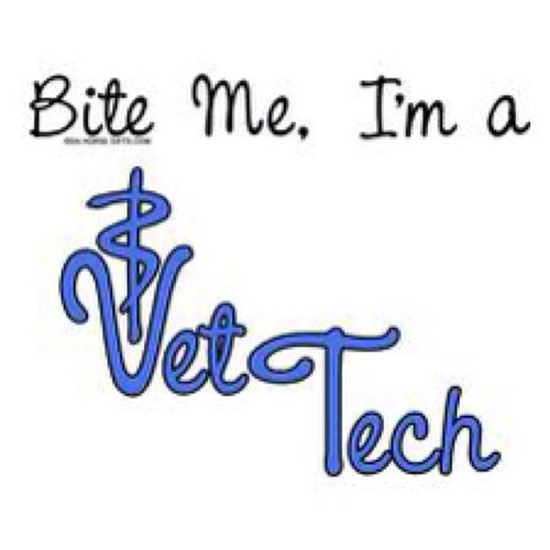Daily rants,stories and general shenanigans that go on in the life of a Vet Tech   #vettechproblems