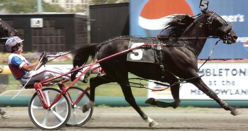 Business owner.
IT Director.
2017 HANA Grand Circuit Harness Handicapping Champion!
Harness racing software designer.
Racing analyst & stringer for TrackMaster
