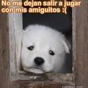 James Tobar R - @JamesTobarR - Twitter