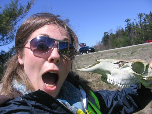 LAJustToSay's profile picture. Writer. Chicagoan. Entrepreneur. Loves games and people to play them with.