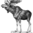 prudentmoose's profile image