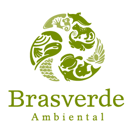 Brasverde's profile picture. Temos como objetivo, a Preservação Ambiental e o Desenvolvimento Sustentável. Desenvolvemos e executamos projetos Ambientais voluntários e obrigatórios.