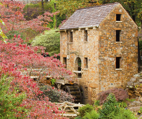 GChistiakova's profile picture. Боря