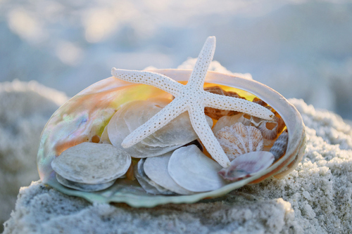 AJsNonna's profile picture. 