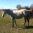 wade hendrickson - @dimiondh - Twitter