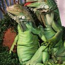 Amanda Mace - @acid_pussy - Twitter