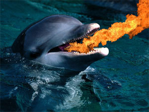 STFU_Buddy's profile picture. Never witness nothing.