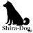 shira_dog