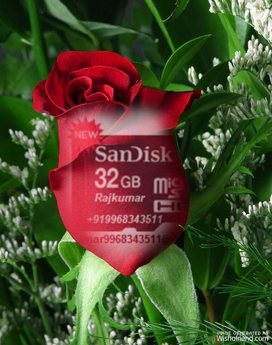 rctindia's profile picture. 