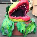 margot walker - @margot_stlukes - Twitter