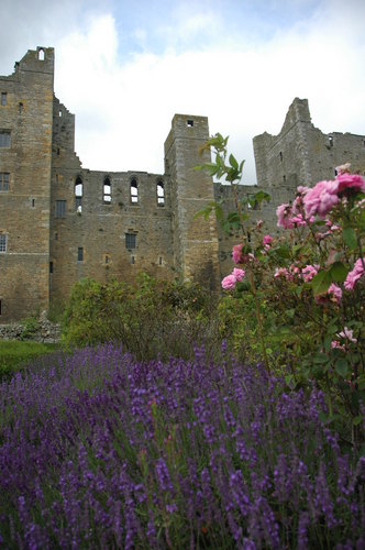 BoltonCastle Profile Picture