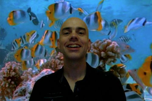 mindshoot's profile picture. Tim: 37% music; 28% computers; 23% run/swim/cycle/fitness; 12% domestic. 100% lucky husband of unfortunate wife!