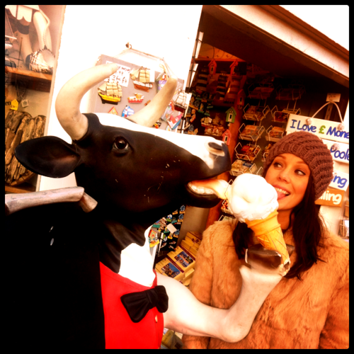 LouBiscuits's profile picture. 