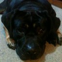 Nathan Hooper - @NathanH457 - Twitter