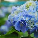 Leanne Field - @LeanneField - Twitter