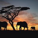 Jennie Ryan - @jenibarrow1 - Twitter