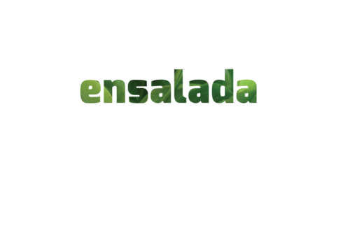 Ensalada2's profile picture. Ensalada is a 'Dutch-based' media web development and video production company. We are hiring young self-employed media professionals in Valencia Spain.