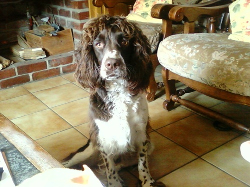 pierret2's profile picture. 