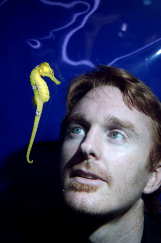 I'm a marine biologist from Ireland with a passion for the conservation of Seahorses. I also go by the name Seahorse Man!