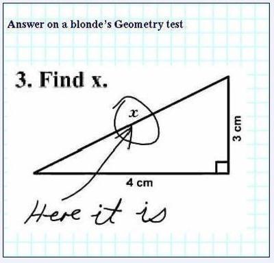 BlondeInBama's profile picture. Blonde and Alabamian by birth.