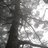 twsylvia's profile image