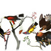 Bankens Bukenya (@bankensb) Twitter profile photo Bankens Bukenya (@bankensb) Twitter profile photo