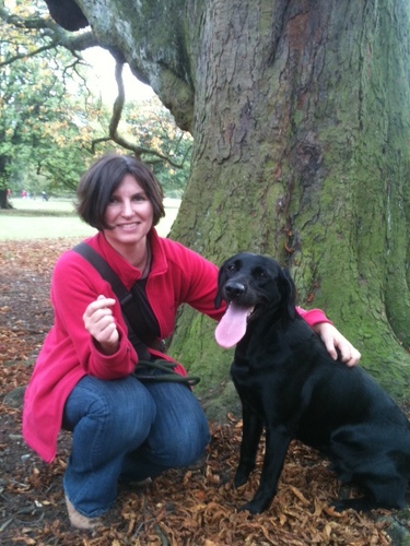 bookkeeptoolkit's profile picture. http://t.co/RBGApf10AZ. Best selling Dummies author and online bookkeeping course creator. Do you want to be a brilliant bookkeeper?