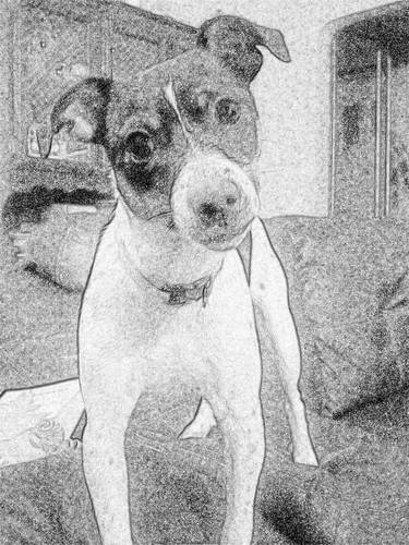 j_mailloux's profile picture. 