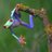BigMamma2980's profile image