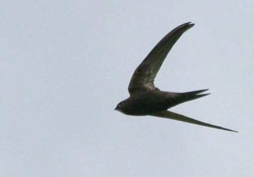 glidepath07k's profile picture. 