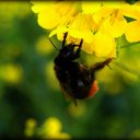 Hugh Nolan - @hugh_nolan - Twitter