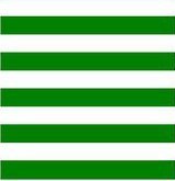 Celtic Football Club, first, last, everything. Always...