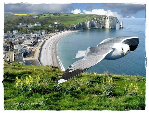 HunkyTweets's profile picture. Blind #GoogleEyed, Venturous miscellaneous, #Hunk #SmArtAss *_* love Rugby #TomAndJerry #gobletygook =D 
_;Smile Wide out and Ride the worldright Down;_