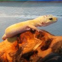 mschiangsclass's profile picture. We are a grade 1class who likes to use technology in our class.