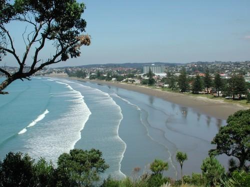 CharlotteSGutie's profile picture. 