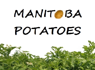 Weather INnovations runs the Manitoba Potato Weather Progam providing agronomic support and updates for potato producers. Tweets by Andy Nadler.