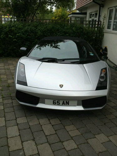 perryd98's profile picture. Y.O.L.O :)