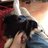 Cln_French's profile image