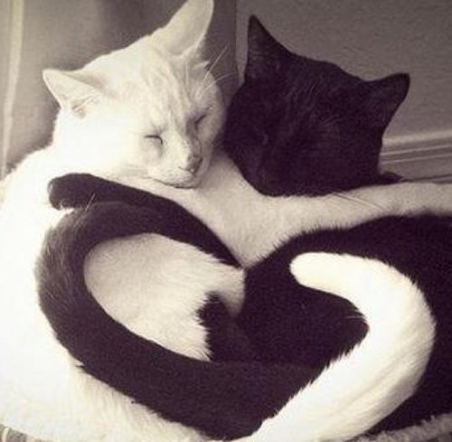 darf_1026's profile picture. 