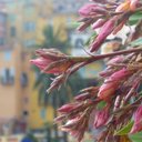 Mia Webster - @waverlytowers - Twitter