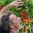 tomatoloog's profile image