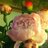 Patinin's profile image