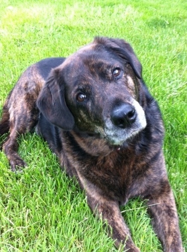 LibraRising1's profile picture. Love music, cooking, travel and ALL animals.